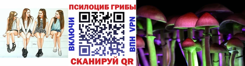 Псилоцибиновые грибы Psilocybe  Ак-Довурак 